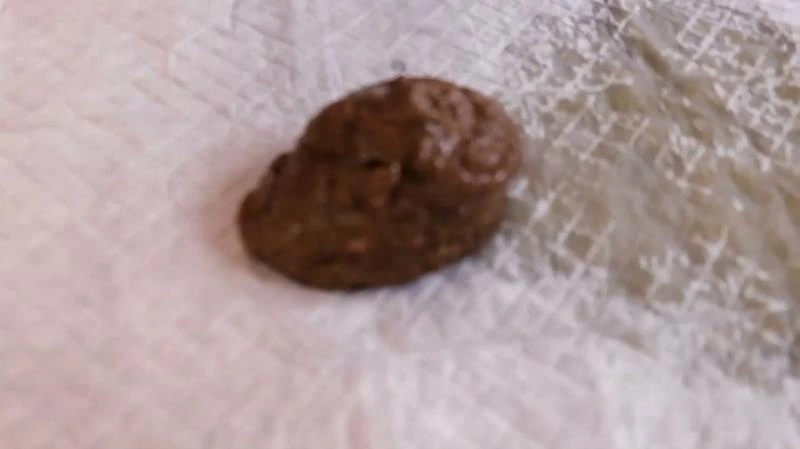 JP Fetish Merchant - Tora Giant Expanding Poop (Scatshop) Amateurs [FullHD/2021]