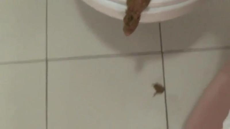 Follow Me In Public (Scatshop) SweetBettyParlour [SD/2021]