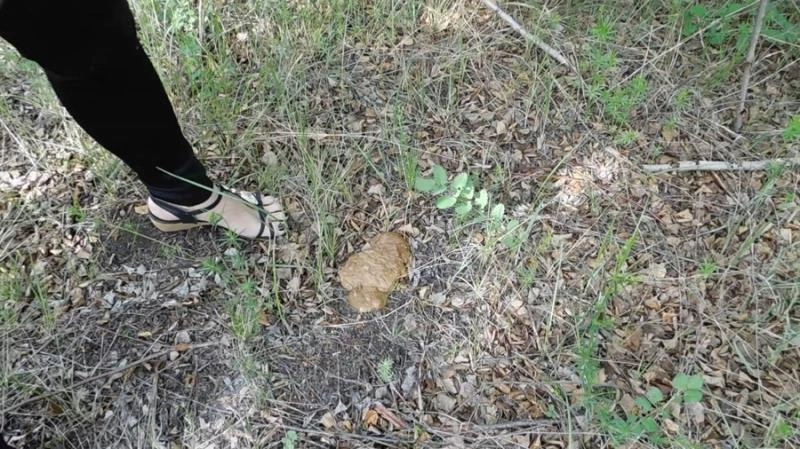 Breakfast in the forest with shit KatyaKASS [FullHD/2021]