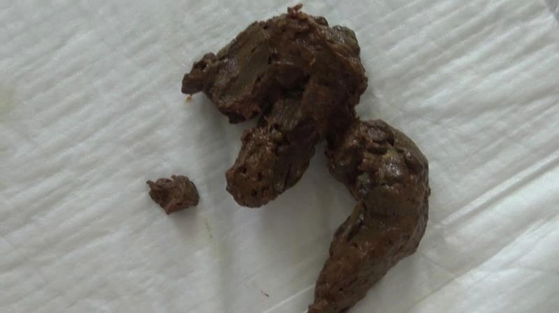 Ultimate Shitting Tegan [FullHD/2021]