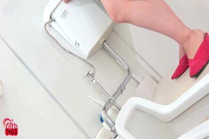 Public Toilet USED! (Scatshop) Fetidistrojp [SD/2021]