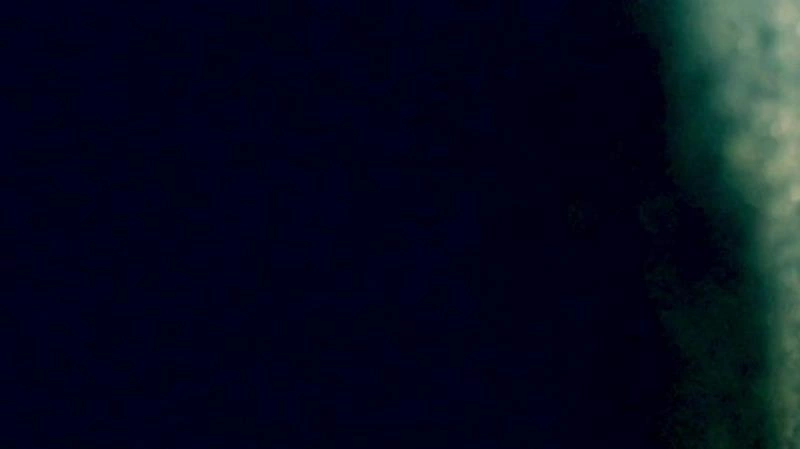 Filthy Cunt! (Scatshop) MonstersHunniButtaGoddess [FullHD/2021]