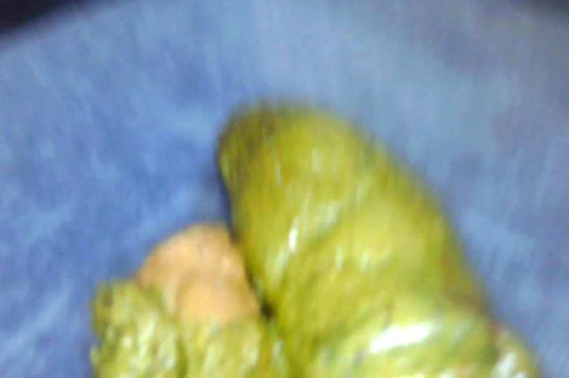 Dottie (Scatshop) kalasextoncb [HD/2021]