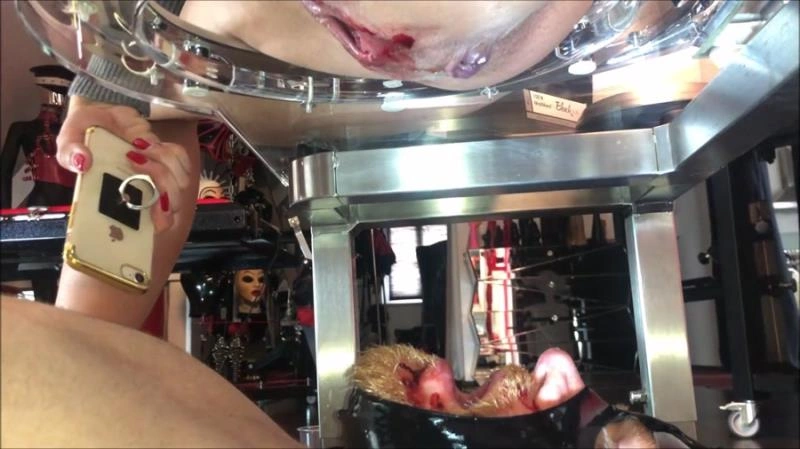 Peters Days of Sodom Day 3 Puke [FullHD/2021]