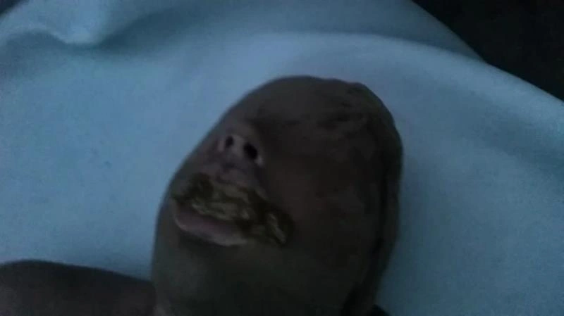 Lady Milena - Abused as a toilet Eat my diarrhea Puke [FullHD/2021]