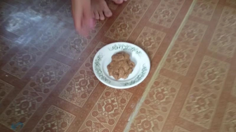 Brown Wife - Shit instead of toothpaste! Puke [FullHD/2021]