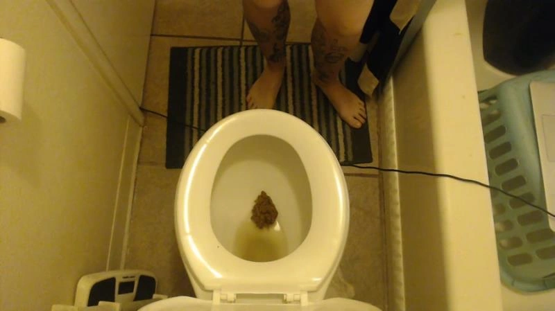 Two Girls Taking Turns Shitting (Scatshop) efrolesbians [HD/2021]