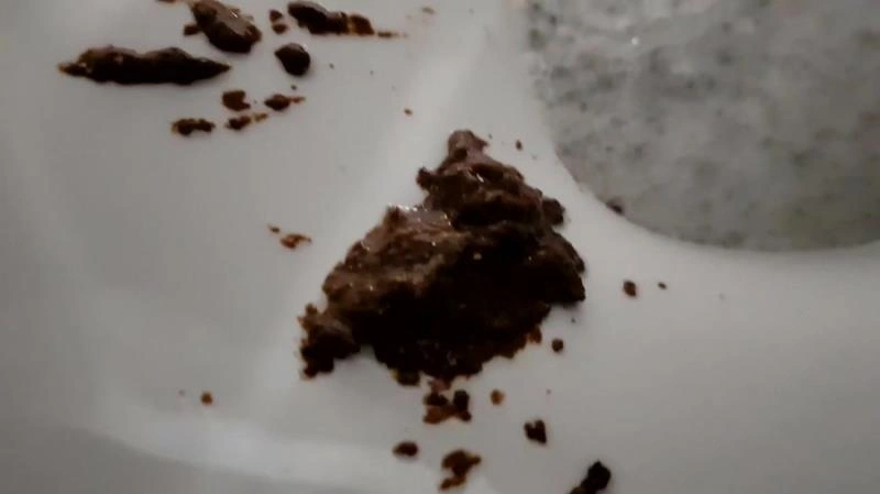 Direct Into Your Mouth (Scatshop) Thefartbabes [FullHD/2021]