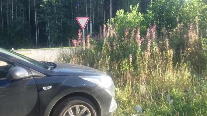 Public Madness. Part 1 (Scatshop) Brown Wife [FullHD/2021]