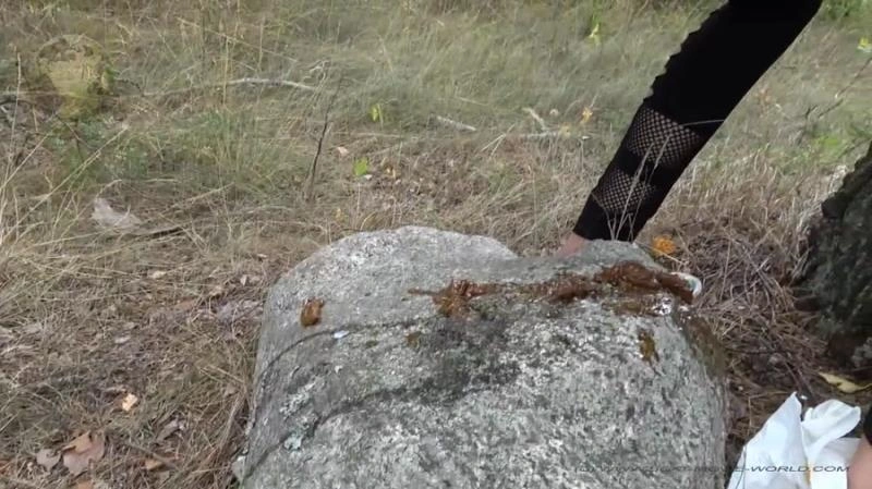 Toilet on demand (Scatshop) Miss Jane [HD/2021]