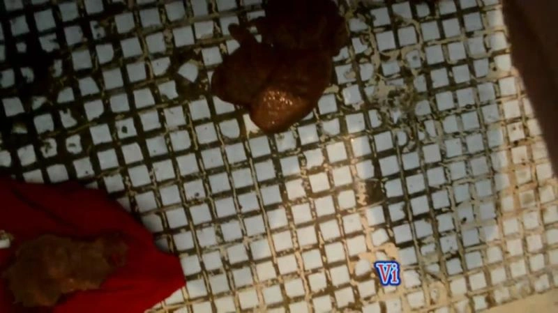 Diarrhea liquid in pantyhose and a toilet (Scatshop) VipmodelNata [FullHD/2021]