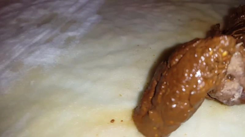 Morgends In The Bathroom JessicaKay [FullHD/2021]