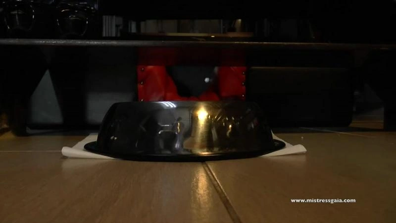 EXTREME TOTAL WC SLAVE - 2nd part Evamarie88 [FullHD/2021]