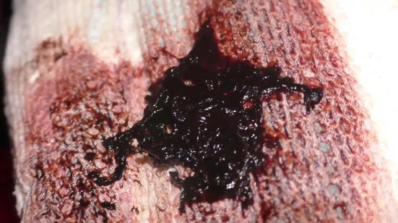 Sshit red pee [FullHD/2021]