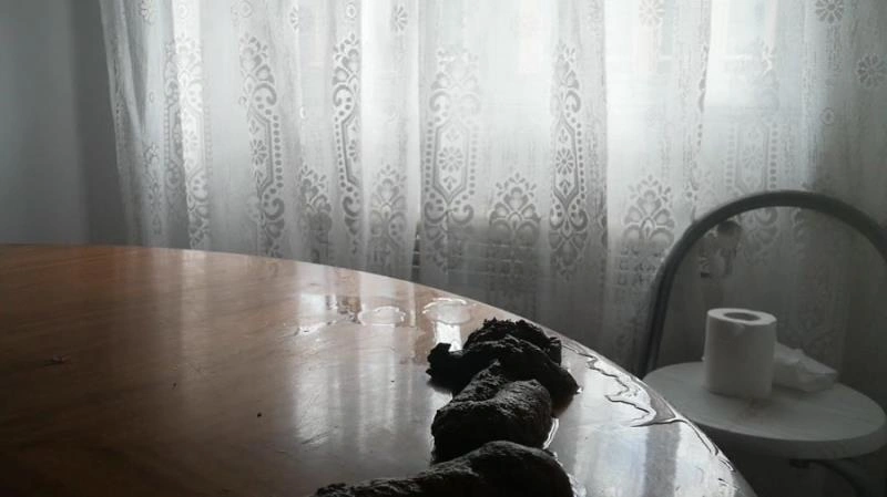 I shit a lot on the table! badkithy [HD/2021]