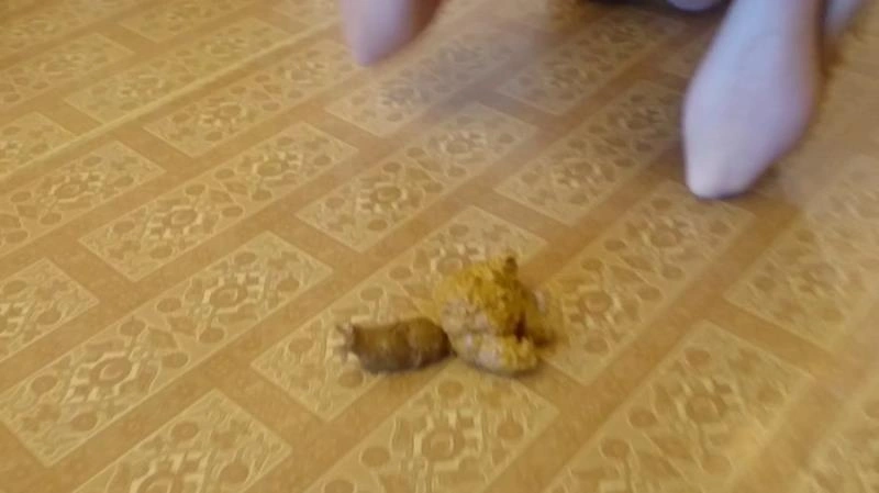 Every Pregnant Beauty Should Lick the Shit (Scatshop) Brown wife [FullHD/2021]