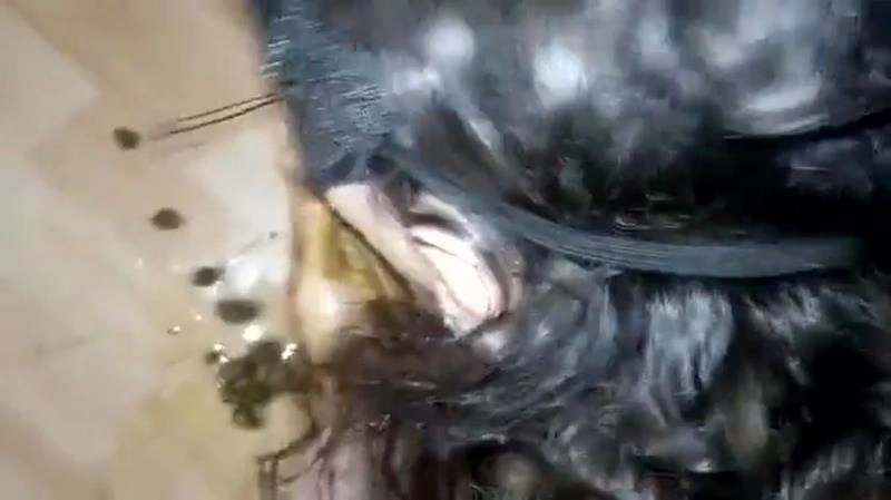 die ideale Kacksklavin - MOTHERLESS [SD/2021]