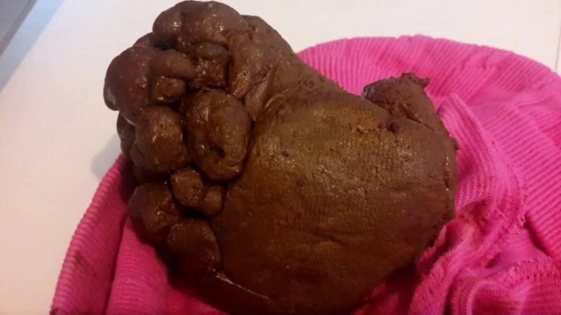 Pink cotton shorts poop Thefartbabes [FullHD/2022]