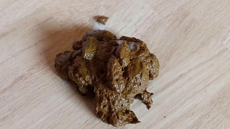 Poop Doggystyle AinaraX  [FullHD/2022]