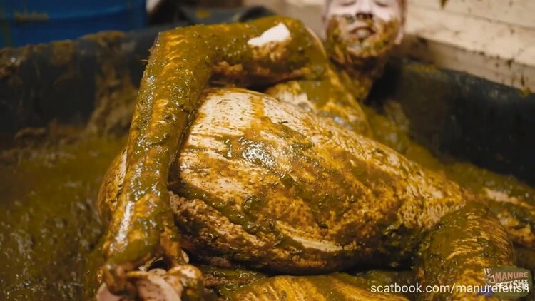 Manure health cure [FullHD/2022]