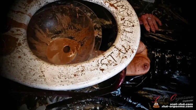 Extreme shit and puke swallowing toilet slave SlutOrgasma [FullHD/2022]