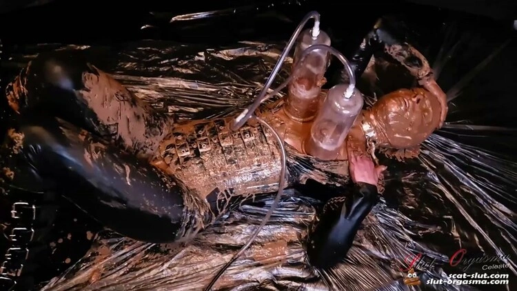 Extreme scat play and vacuum shit udders SlutOrgasma [FullHD/2023]