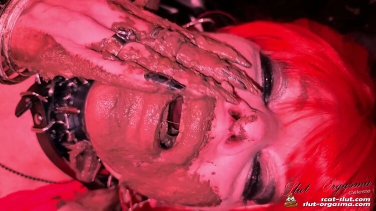 Shit play at a party - Party whore is playing with her shit - Dirty whore extreme shit throating and puking [FullHD/2023]