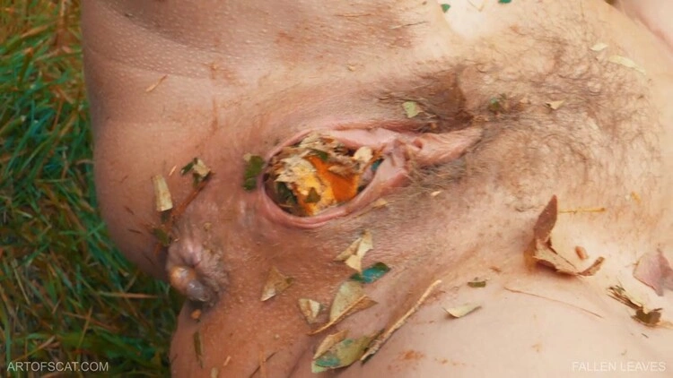 Fallen Leaves [FullHD/2024]