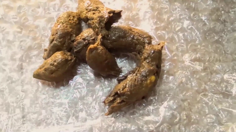 Feature Japanese Poop. P1 Akeno Double [FullHD/2024]