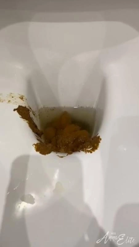 A big pile of shit in the toilet. P1 [HD/2024]
