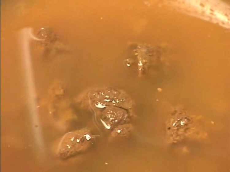 Fetidistrojp – Enema Initation! [SD/2024]