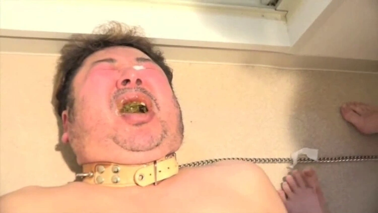 Fetidistrojp - Calling Scat Service [SD/2024]