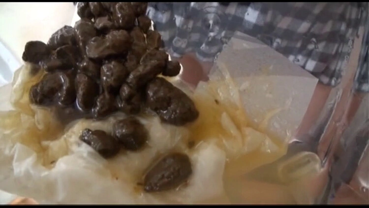 [GCD-175] Journey Of 10th Anniversary Of Japan Longitudinal Poop Thank You! Final Caravan In Shikoku Hen [SD/2024]