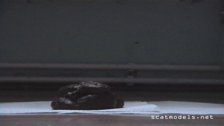 Poop on napkins. P1 [HD/2024]