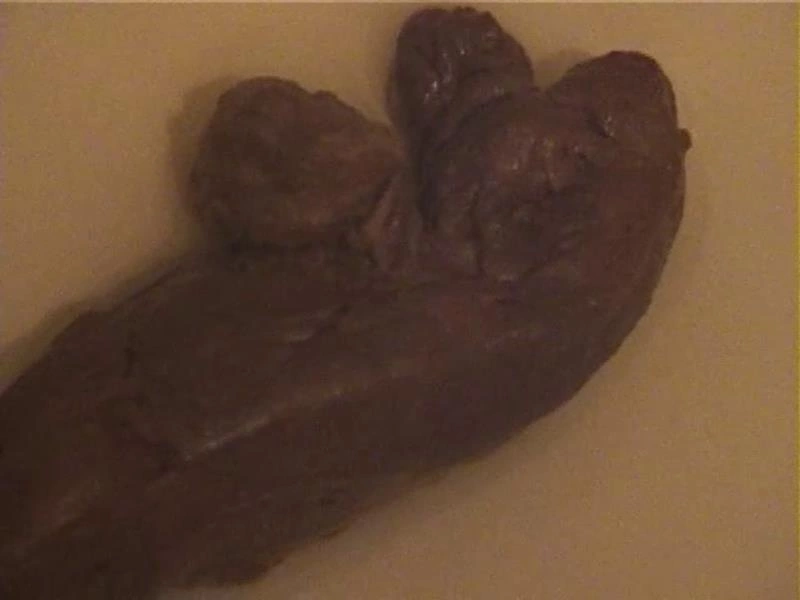 Pussy and ass on the toilet. P1 [SD/2024]