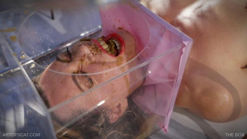 The Box for defecation on the face. P1 [FullHD/2025]