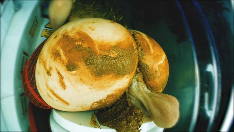 Princess on a nasty dildo DirtyBetty [FullHD/2025]