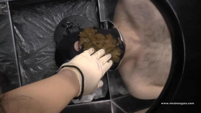 Double toilet domination Mistress Gaia [HD/2025]