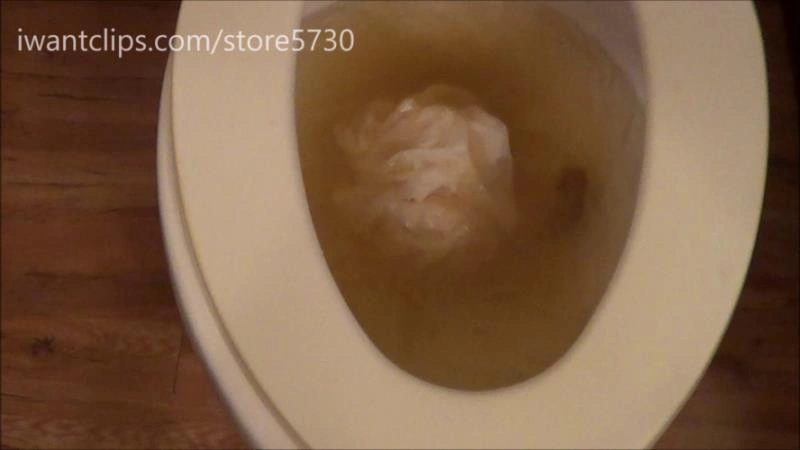 Ashley Dobbs Damn I Clogged The Toilet Keepingitfunky [FullHD/2025]