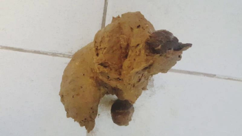 Mega Log Worship Latsuna [FullHD/2025]