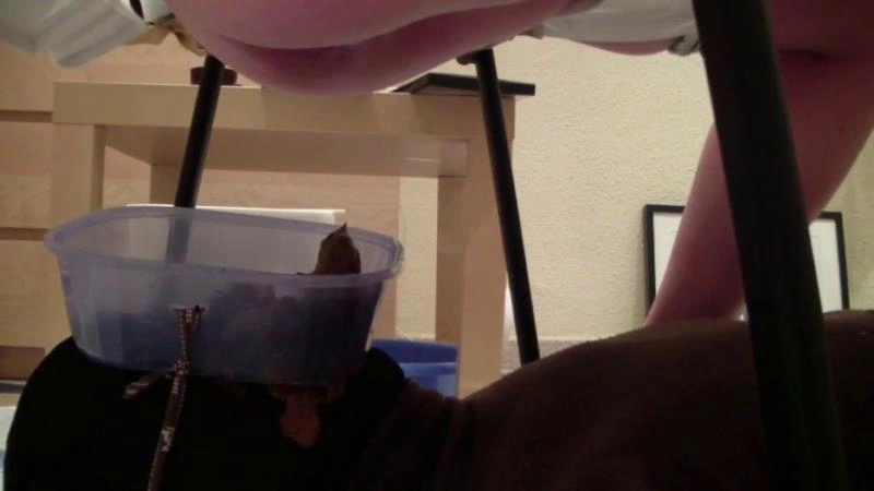 6 Cute Teens Shit on the Face of Their Toilet Slave P1 [SD/2025]