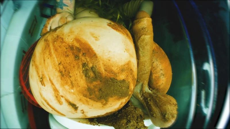 Princess on a dildo with shit. P1 [FullHD/2025]