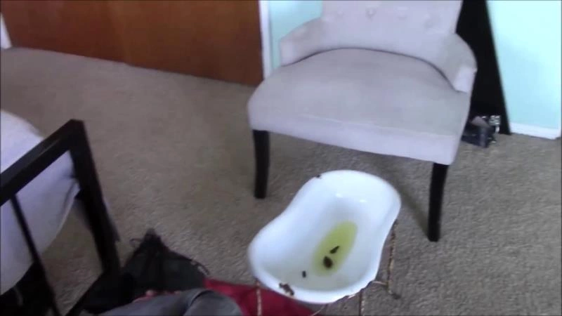 Ebony Mistress Makes Slave Eat Shit off Her Hills P1 [HD/2025]