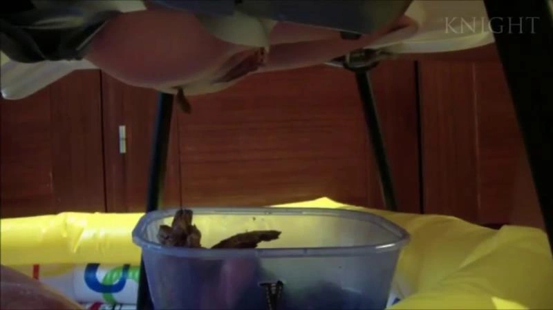 Young Girls Poop From Chair On Slave In Pool P1 [SD/2025]