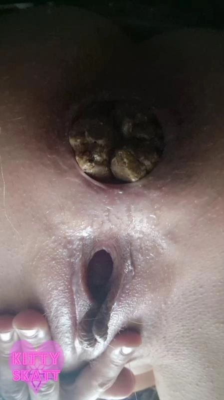 Festival Constipation Kitty Skatt [SD/2025]