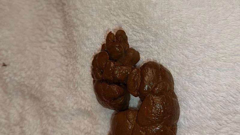 Moms Stinky Poo PooGirlSofia [FullHD/2025]