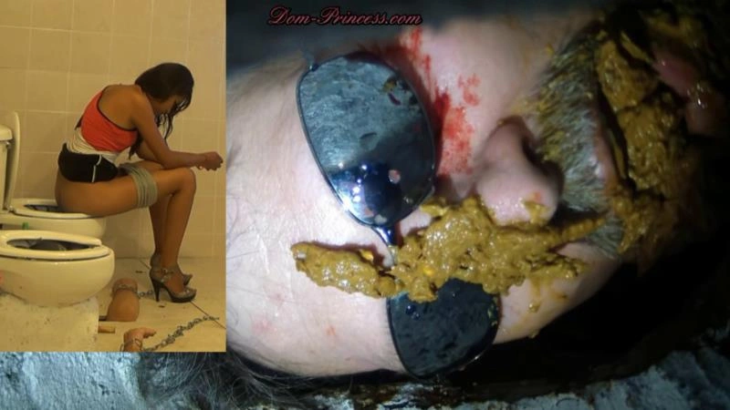 Scatmania Men Trapped In Toilets Get Used - Now You're Officially A Toilet [UltraHD/4K/2025]