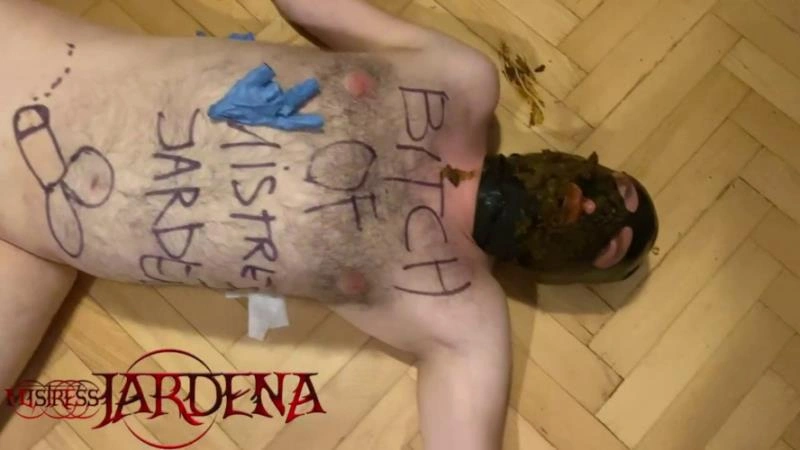 Masacrated Slave bitch on first toilet session feeding shit P1 [HD/2025]