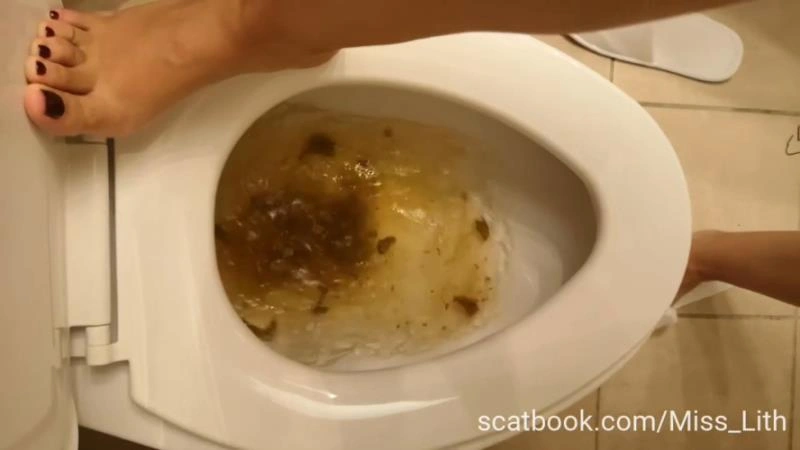 Scat Verbal Humiliation The Toilet is Сlogged P1 [HD/2025]