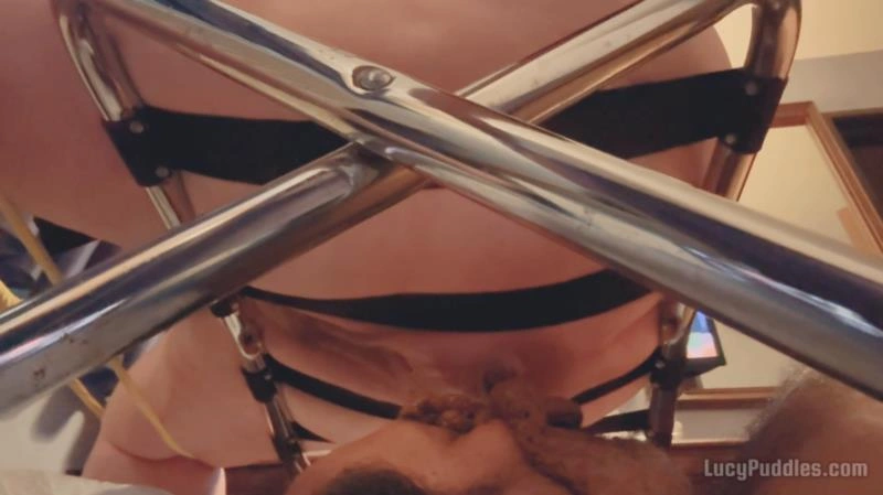 A Convenient Human Toilet [FullHD/2025]